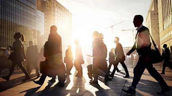 路易泽 强势股追踪 主力资金连续5日净流入79股