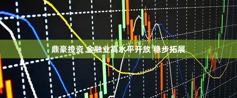 鼎豪投资 金融业高水平开放 稳步拓展